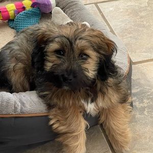 Meet your Posher, Barbara